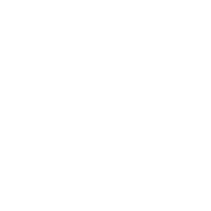 subintern logo